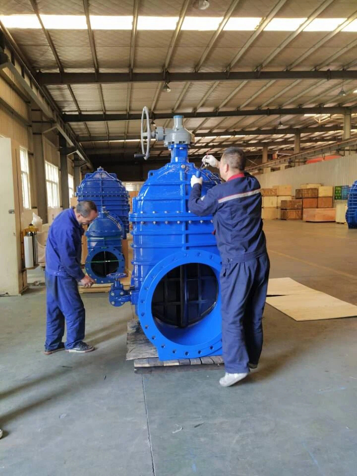 Ready for shipped -Flanged Ductile Soft Seated Gate Valve Made by Pinde Valve-4