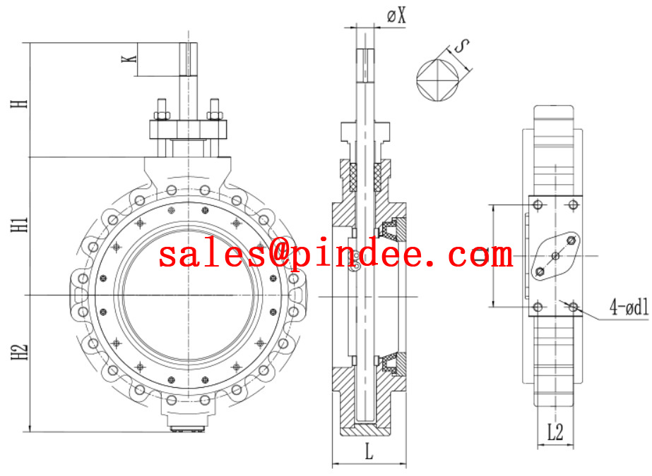 Pindee Valve Manufacture CF8M Lug High Performance Butterfly Valve drawing