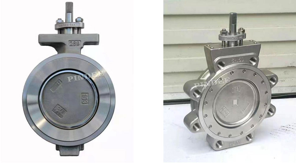Pindee Valve High-Performance Butterfly Valves VS Pindee Valve General Service-2