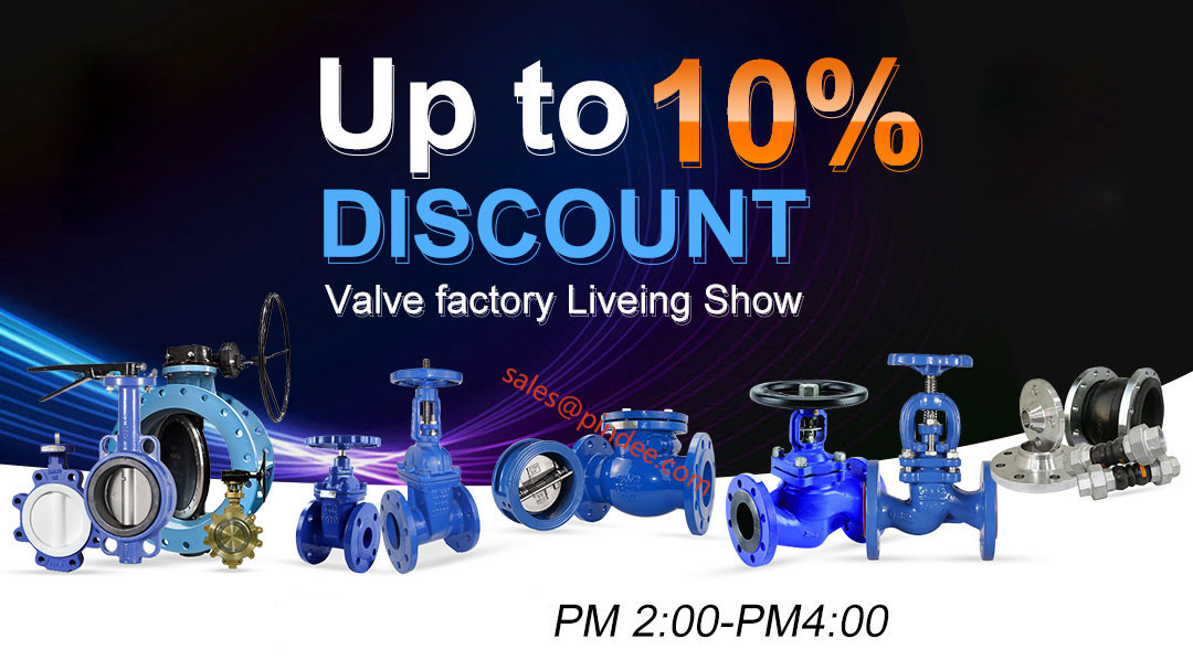 Pindee Valve Fluid Equipment up to 10% Discount