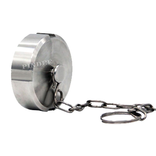 Pindee Stainless Steel DIN SMS Sanitary Blind Nut With Chain