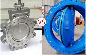 Pindee-Valve-High-Performance-Butterfly-Valves-VS-Pindee-Valve-General-Service-1.jpg