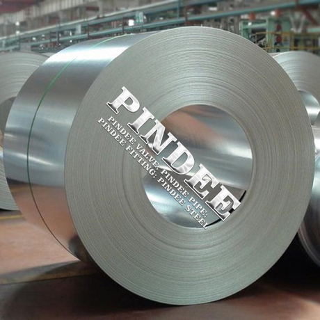 SUS304 Pindee Stainless Steel Coil 3.0mm 1219mm