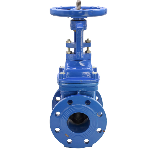 BS5163 Resilient Seat Seal Rising Stem Gate Valve