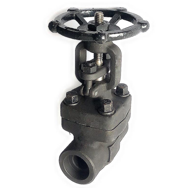 API 602 Forged Steel Gate Valve