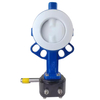 Pindee Valve Manufacture Worm Gear OP PTFE Fully Lined Wafer Butterfly Valve