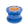 Silent Check Valve