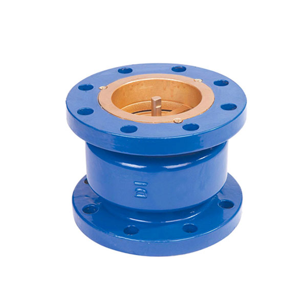 Silent Check Valve