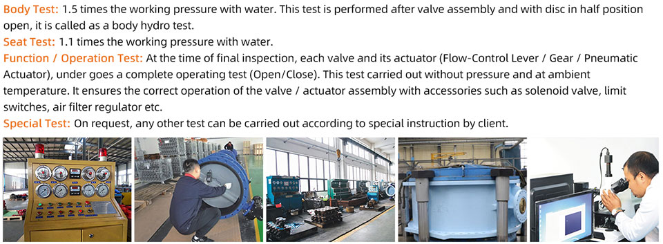 Pindee-Pneumatic-Wafer-Butterfly-Valve-Test
