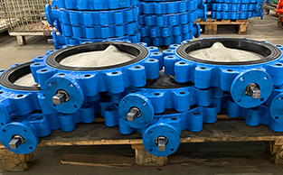 pindee butterfly valve5