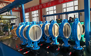 pindee butterfly valve3 (1)
