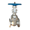 Stainless Steel Flanged Gate Valve