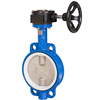 Pindee Valve Manufacture PTFE Seat Wafer Butterfly Valve with Worm Gear