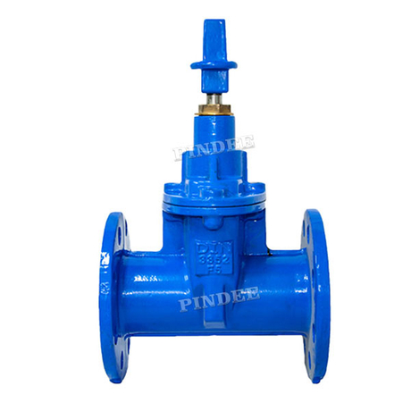 Underground Cap Soft Seal Gate Valve