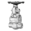 Forged Steel SS304 Gate Valve NPT Class 300