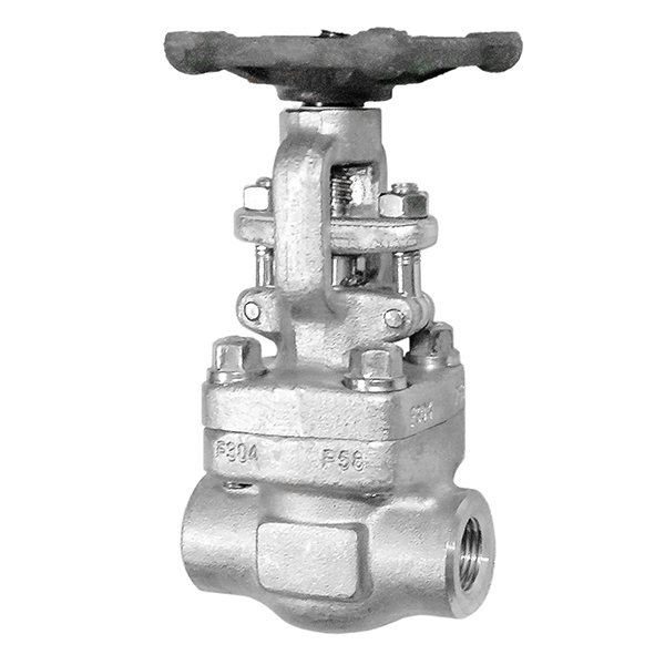 Forged Steel SS304 Gate Valve NPT Class 300