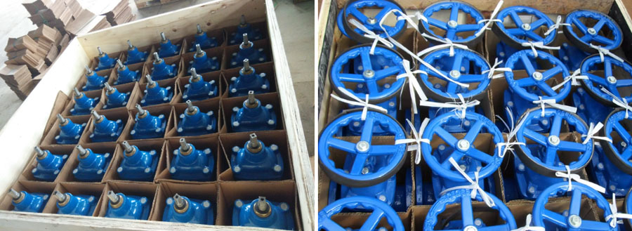 Resilient Seat Seal Rising Stem Gate Valve7