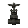 Rising Stem Forged Steel Gate Valve