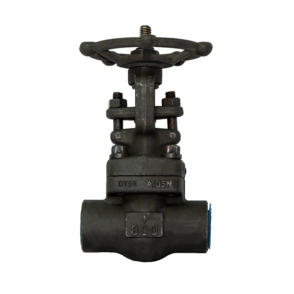 Rising Stem Forged Steel Gate Valve