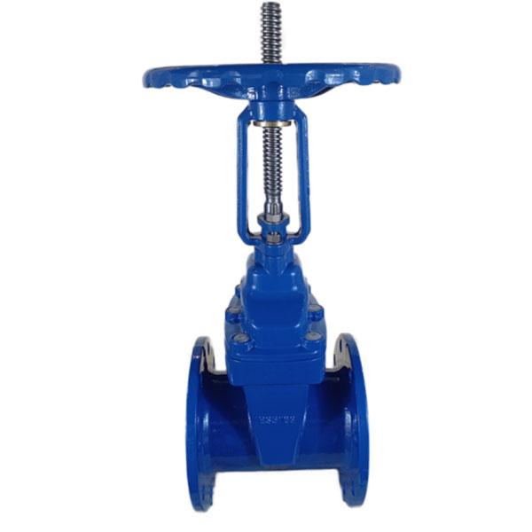 BS5163 Rising Stem Resilient Soft Seal Gate Valve