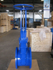 BS5163 Resilient Seat Seal Rising Stem Gate Valve