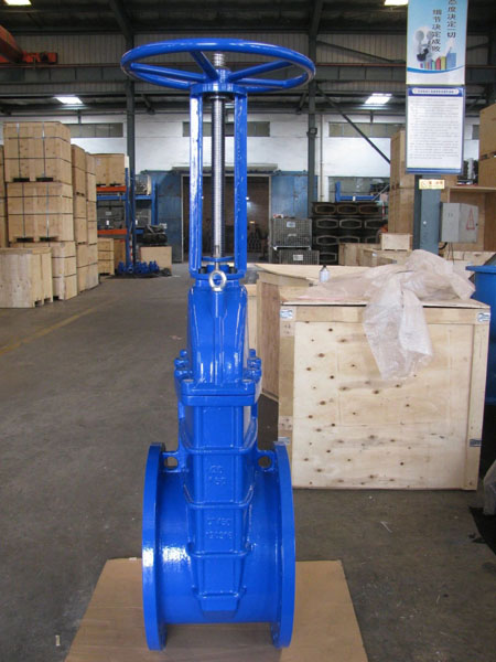 BS5163 Resilient Seat Seal Rising Stem Gate Valve