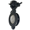 Pindee Valve Manufacture High Performance WCB Wafer Phosphate Butterfly Valve 300LB PN40