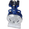 Pindee Valve Manufacture PN16 CL150 High Performance WCB Wafer Butterfly Valve