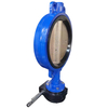 PN16 Worm Gear Hard Back Seat Wafer Butterfly Valve Manufacture by Pindee Valve