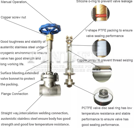 Cryogenic-Globe-Valve-Pindee6
