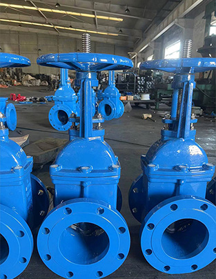 Stainless-Steel-Wafer-Check-Valve7