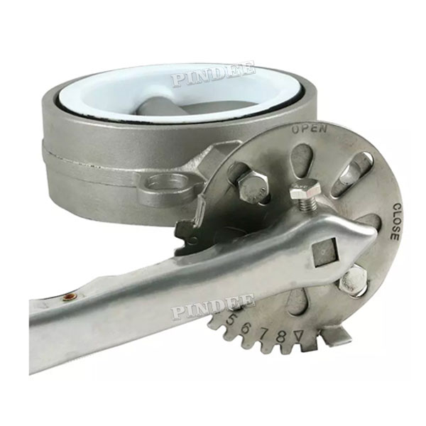 Stainless Steel Wafer Butterfly Valve