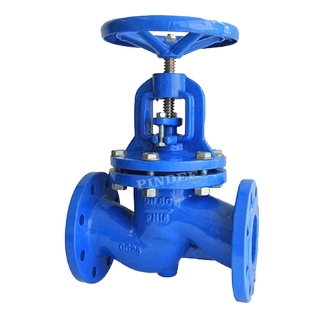 GG25 Globe Valve