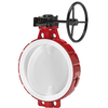 Pindee Valve Manufacture PTFE Seat Wafer Butterfly Valve with Worm Gear