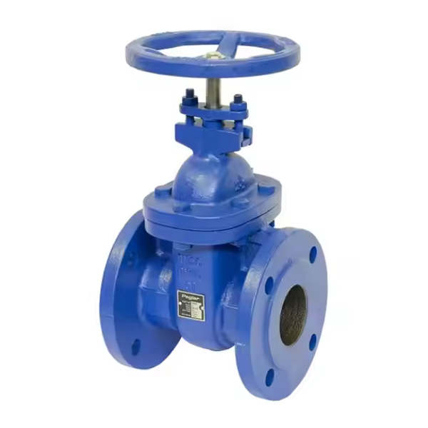 DI Hard Seal Gate Valve4