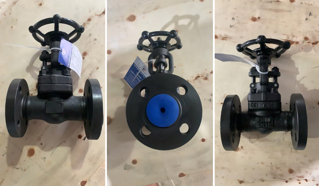 Rising Stem Forged Steel Gate Valve5