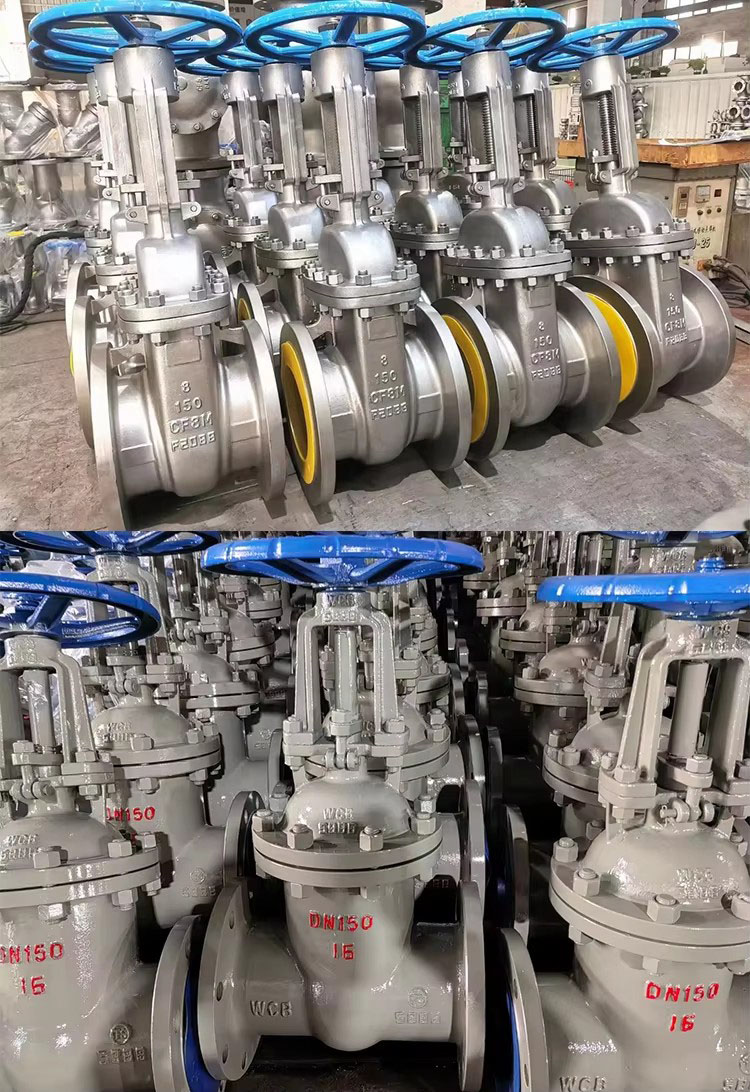 Stainless Steel Rising Stem Gate Valve Display5