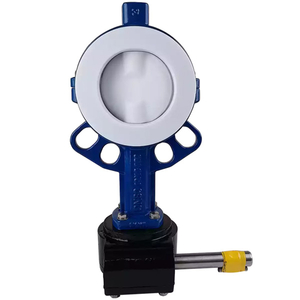 Pindee Valve Manufacture Worm Gear OP PTFE Fully Lined Wafer Butterfly Valve