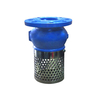 Foot Check Valve