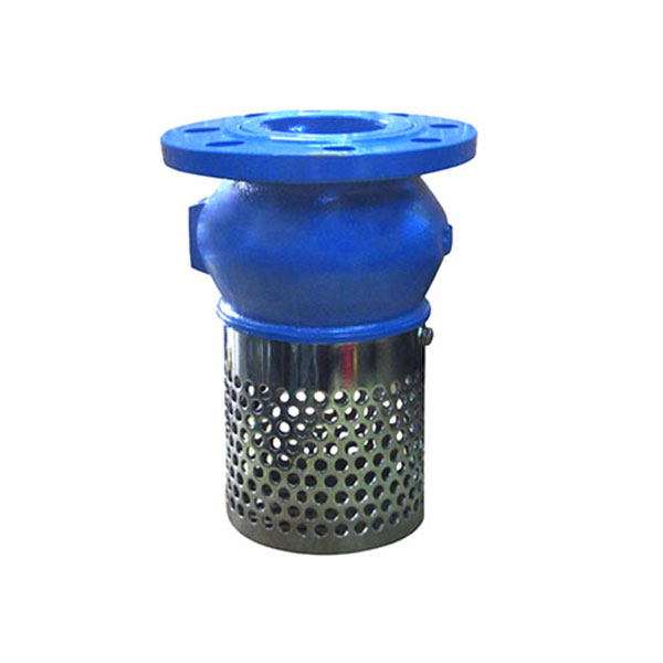Foot Check Valve