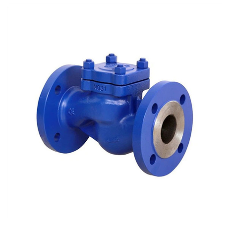 Din Lift Check Valve