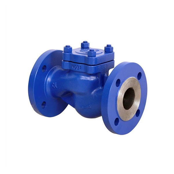 Din Lift Check Valve