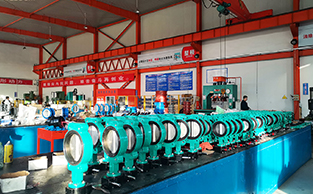 pindee butterfly valve1