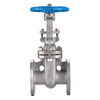 SS Flanged Gate Valve