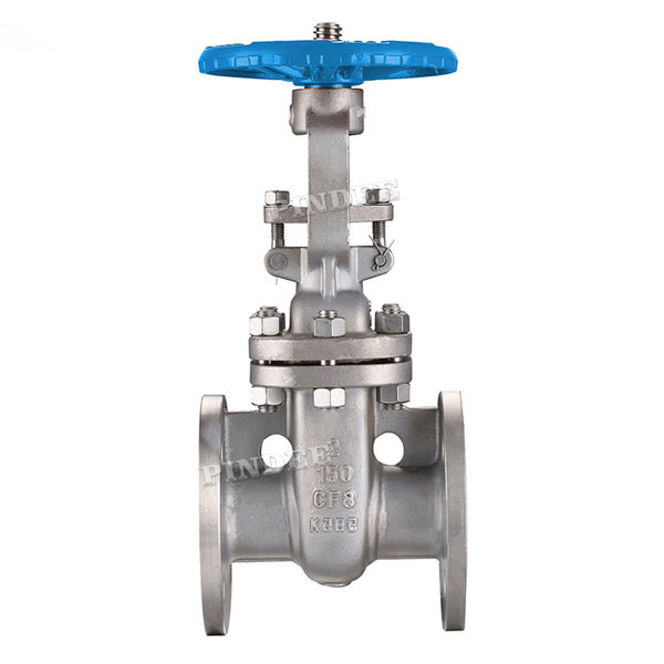 SS Flanged Gate Valve