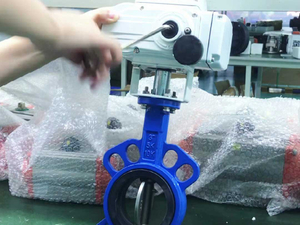 Butterfly-valve-several-minutes-simple-division-method-by-Pindee-Valve.jpg