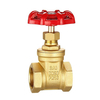 Brass Threaded Gate Valve
