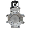 Pindee Valve Manufacture CF8M Lug High Performance Butterfly Valve