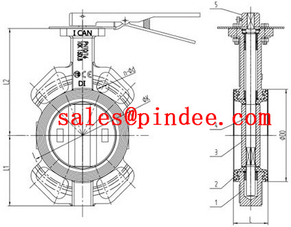 Multi standard soft seat wafer type butterfly valve drawing