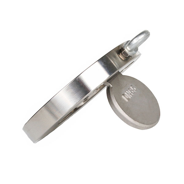 Wafer Disc Check Valve